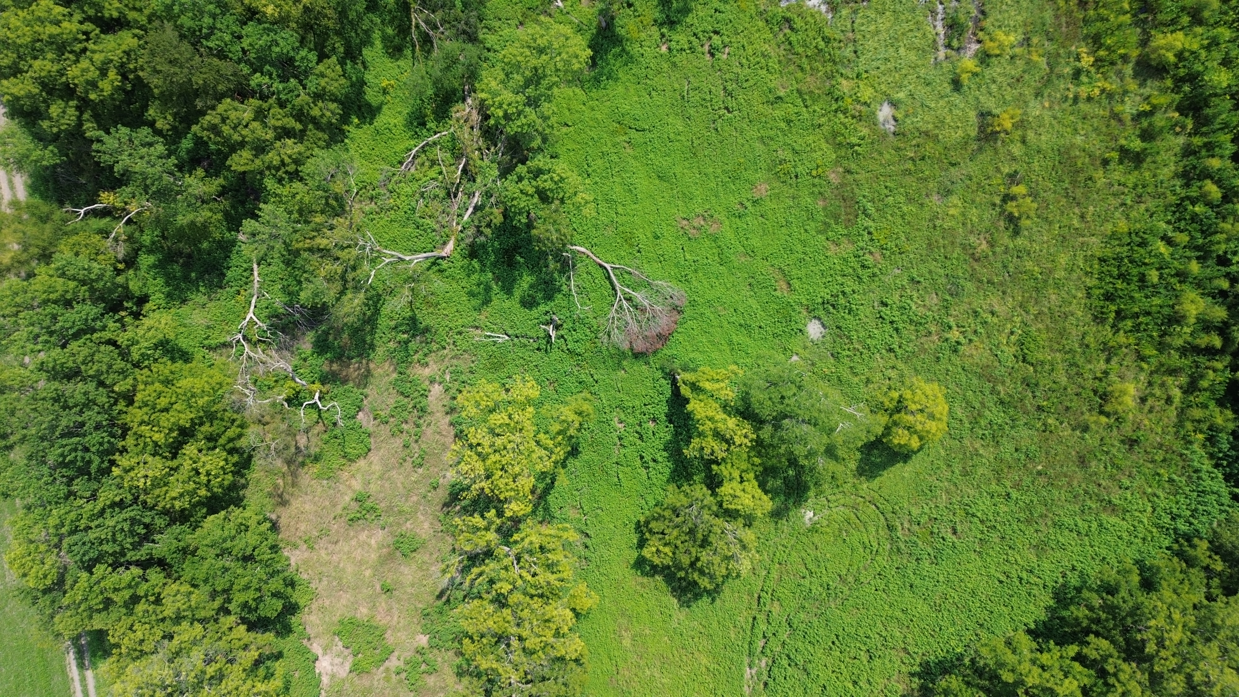 Aerial view of the oxbow pond